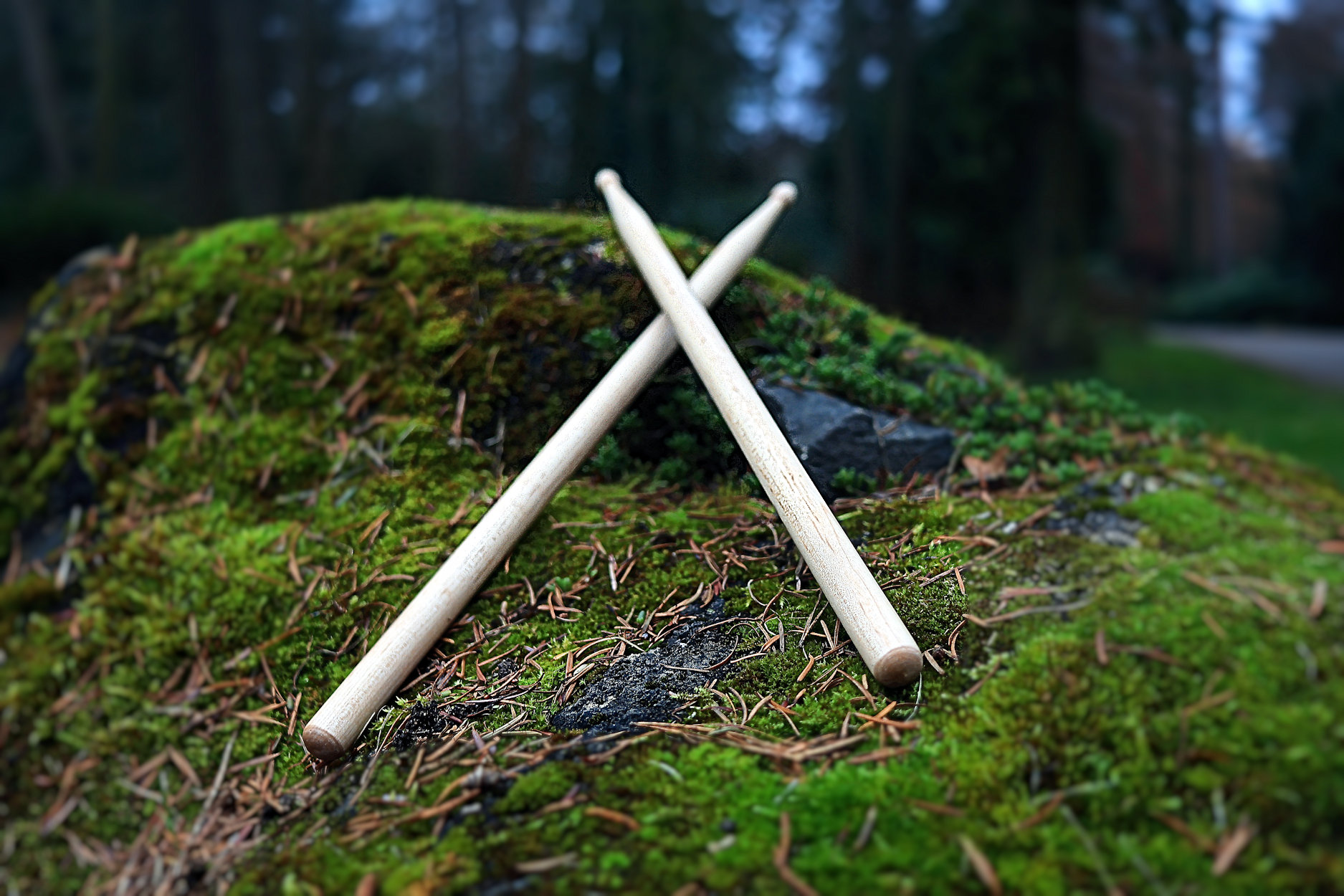 CD Cover Ladies first ! Drumsticks im Friedwald